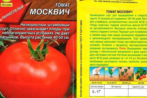 Вкусные и полезные ранние помидоры можно вырастить не только в теплице, но и в открытом грунте Пример подходящего сорта томата - Москвич, рекомендованный для фермерских и любительских подсобных хозяйств Описание, характеристики, рекомендации по выращивани