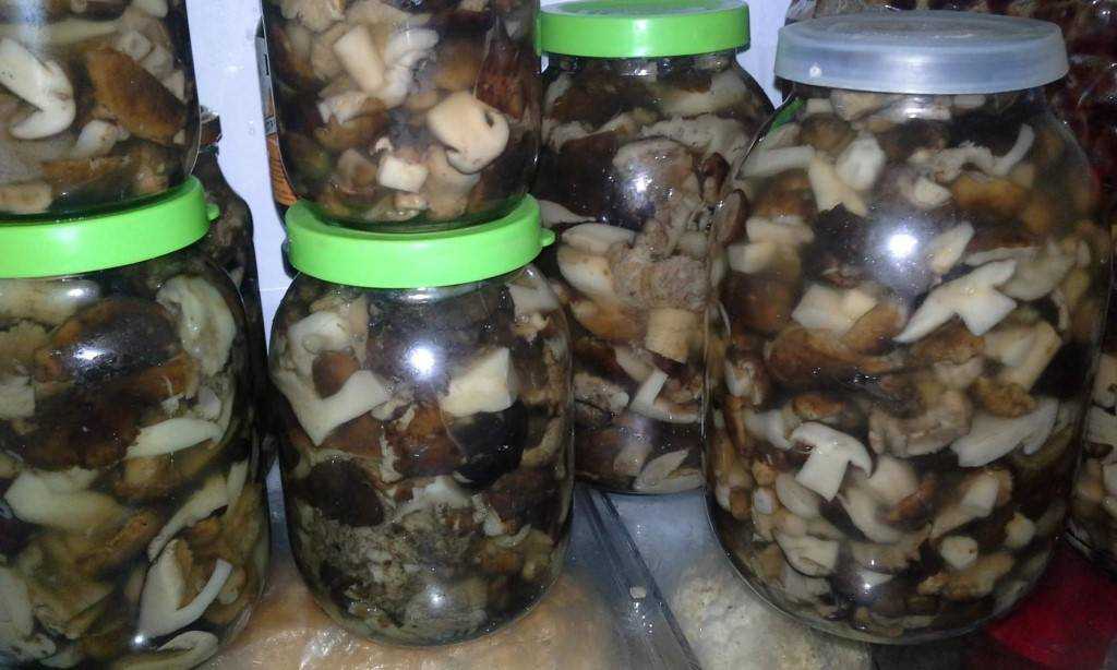 Как засолить белые грибы: в домашних условиях, вкусно и быстро, простой рецепт, в банках, холодным способом, горячим способом