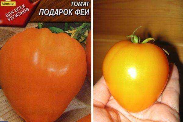 Томат подарок феи: характеристика и описание сорта, отзывы об урожайности, фото помидоров