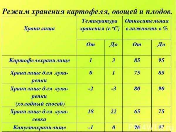 Особенности и режим хранения картофеля