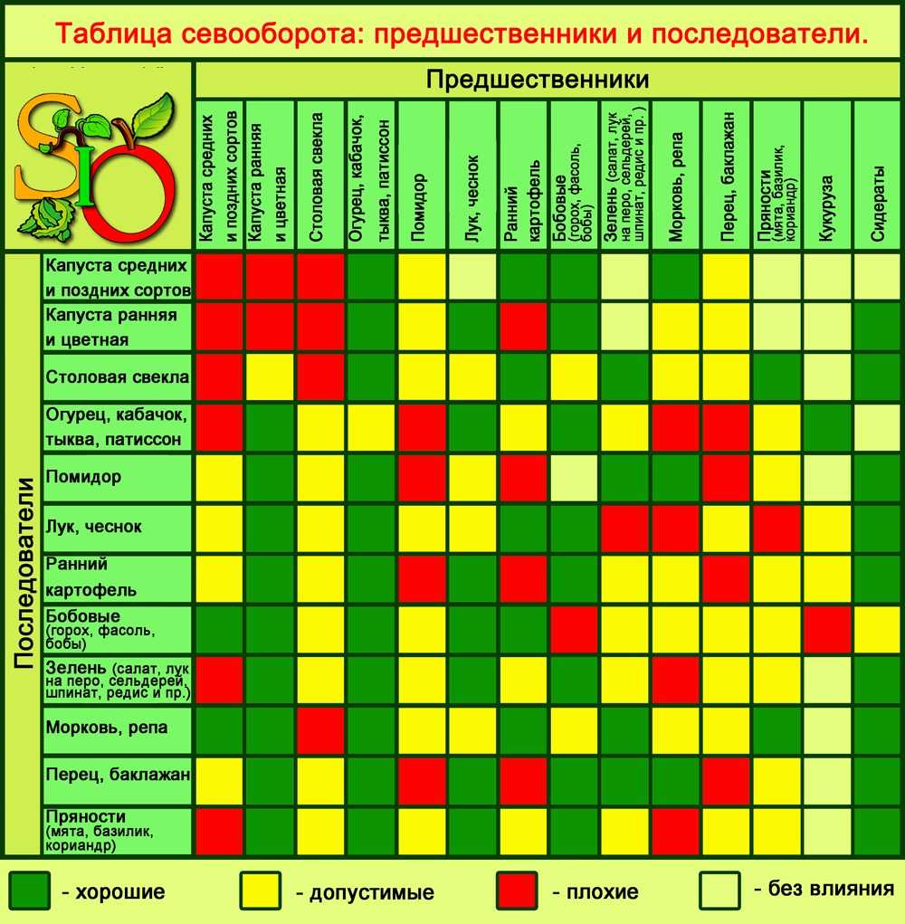 Перец и баклажаны - подготовка и посев семян - сад 6 соток
