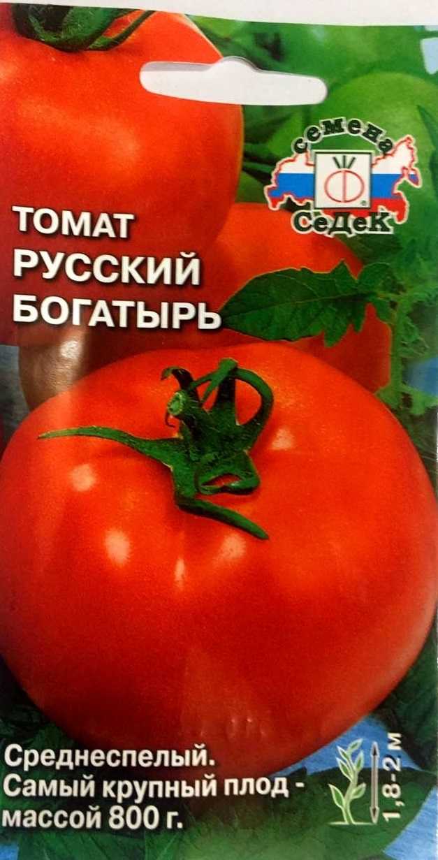 Гортензия древовидная: посадка и уход, фото и названия сортов