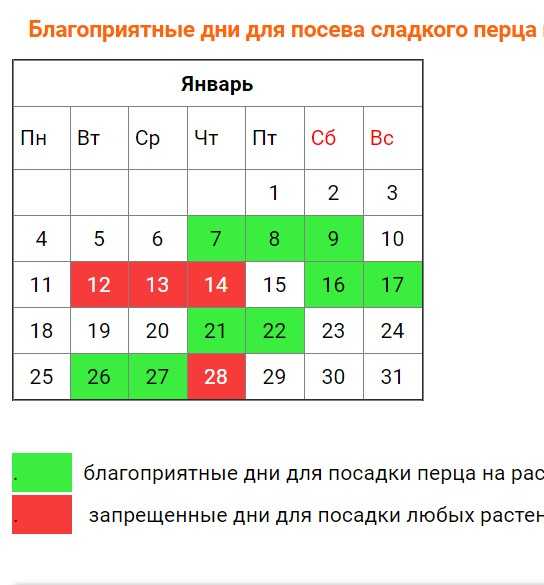 Сроки посева овощных культур на рассаду для различных регионов