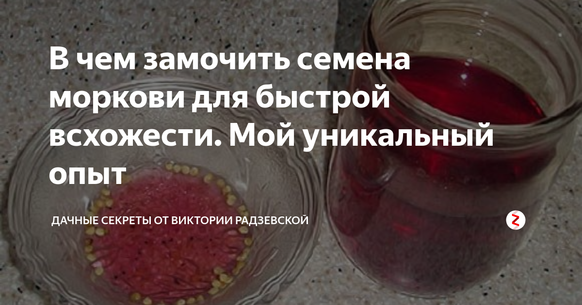 ᐉ водка для быстрого прорастания семян - ruogorod.ru