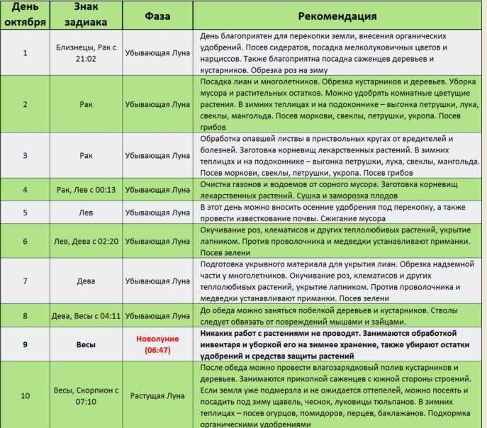 Когда убирать капусту в 2021 году с грядки на хранение по лунному календарю