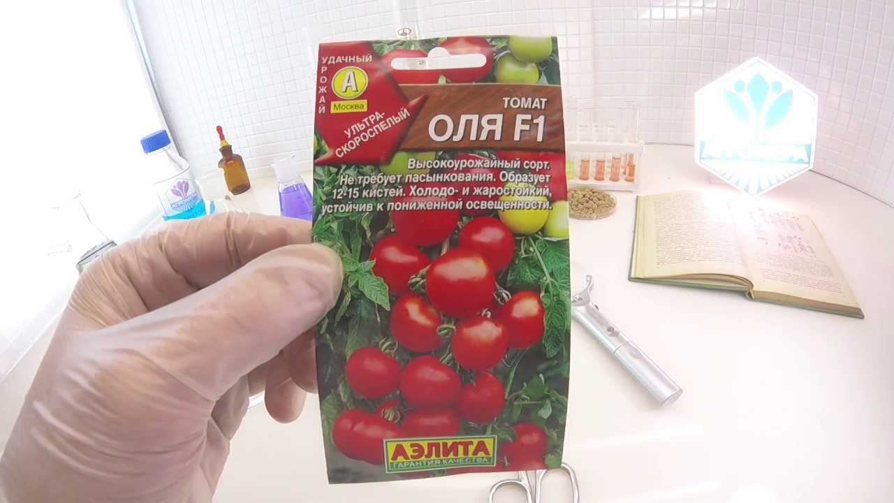 Сорт томатов оля f1. Помидоры сорт Оля f1. Семена томат Оля f1. Томаты Оля f1 описание сорта.