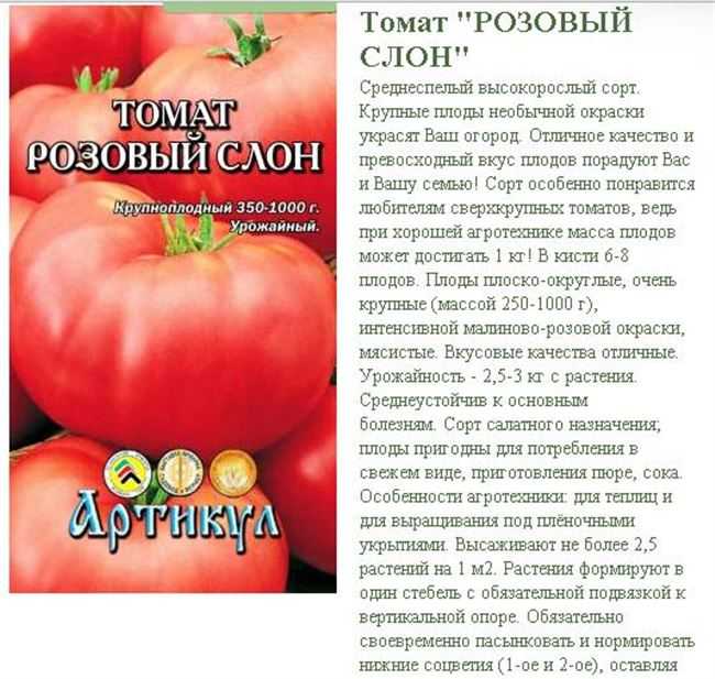 Томат розовый слон: описание сорта, отзывы, фото