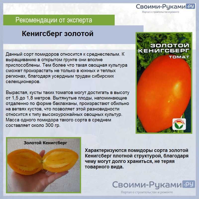 Сорта томатов кенигсберг с фото и описанием