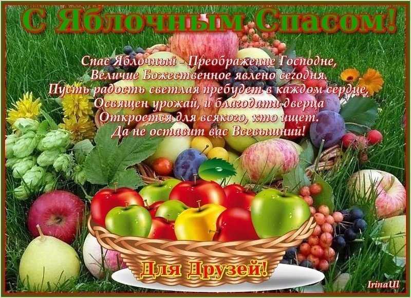 Как засушить яблоки в домашних условиях разными способами