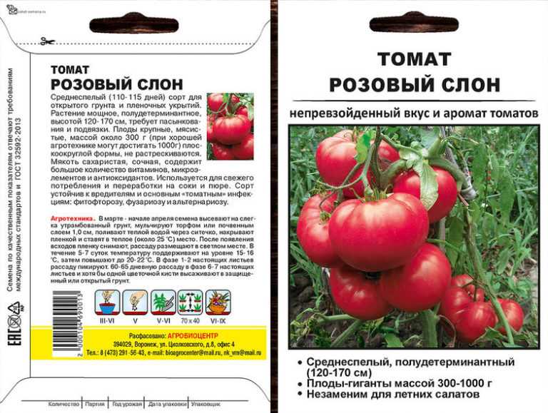 В данной статье есть подробное описание сорта томатов Розовый Слон, его характеристика, фото помидор, особенности выращивания, достоинства и недостатки, а также борьба с вредителями