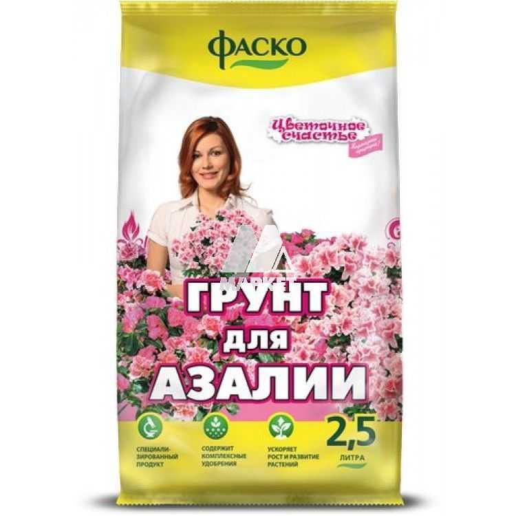 Азалия - уход, размножение, пересадка, цветение - в вопросах и ответах