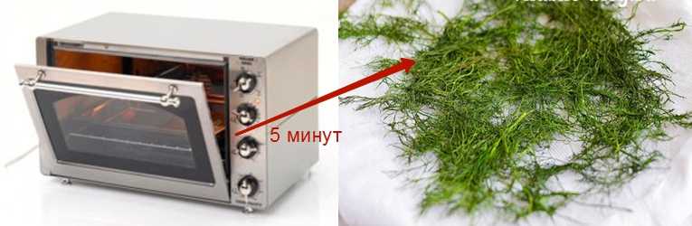 Сушка укропа в домашних условиях на зиму