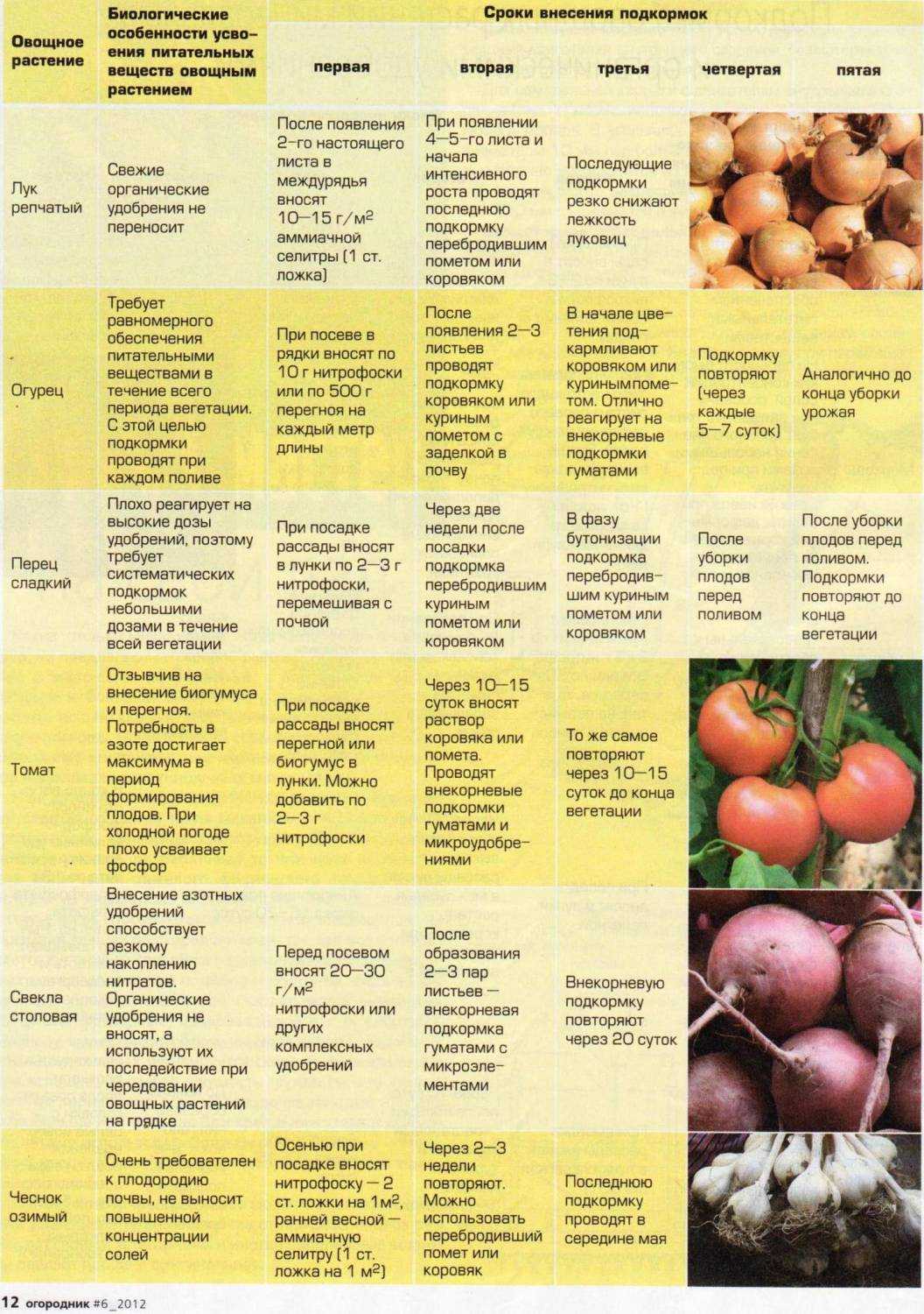 План работ на даче весной таблица