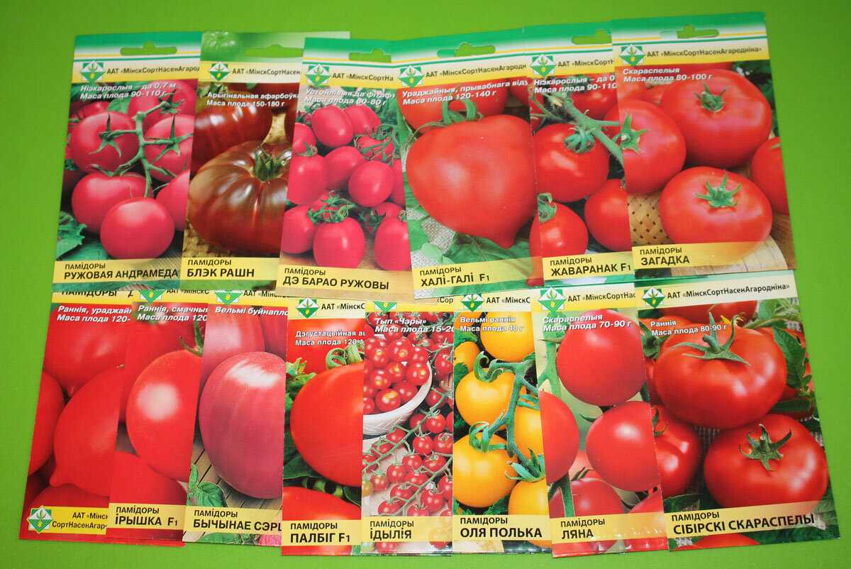 Помидоры семена гибриды. Гибриды томатов. Сорта и гибриды томатов. Сорта помидоров названия. Название гибридов помидора.