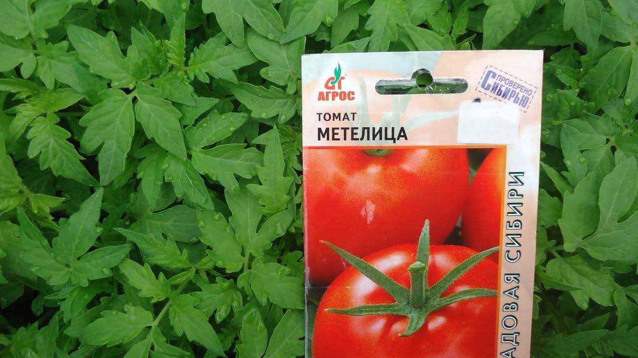 Томат метелица: описание сорта, отзывы, фото