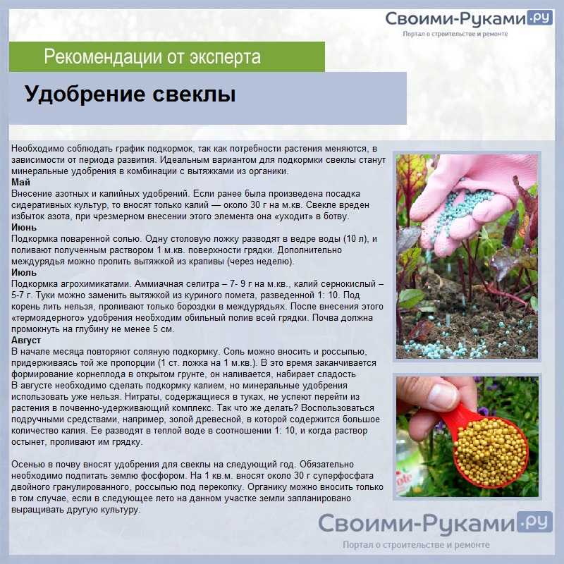 Подкормка томатов