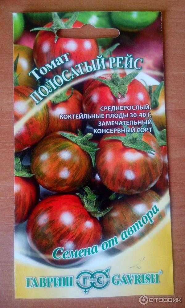 Томат полосатый шоколад: отзывы, фото, описание оригинального сорта, урожайность, правильная посадка на рассаду, выращивание и уход