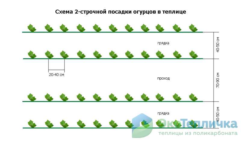 Посадка томатов в шахматном порядке схема расстояния