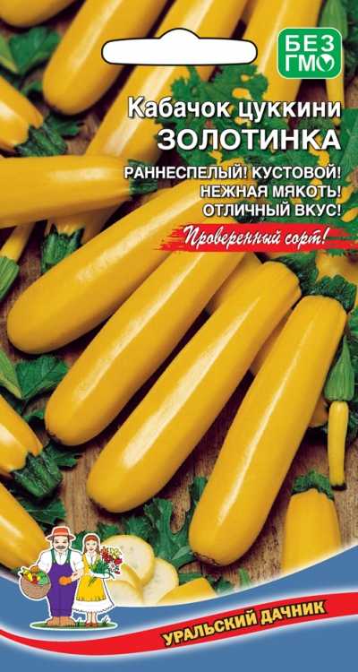 Кабачок золотинка