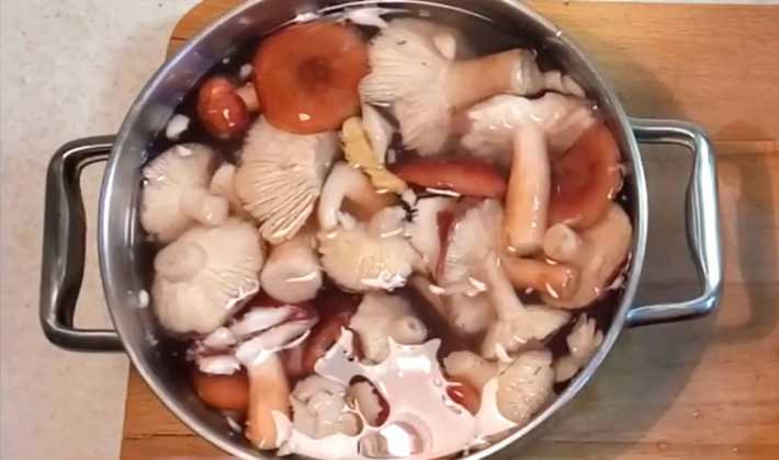 Грибы маринованные на зиму — 5 вкусных рецептов приготовления