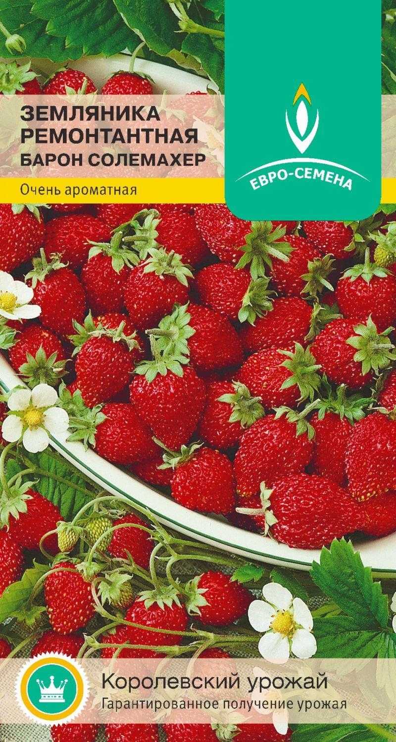 Как ухаживать за земляникой первого и второго года плодоношения: полив, подкормка
