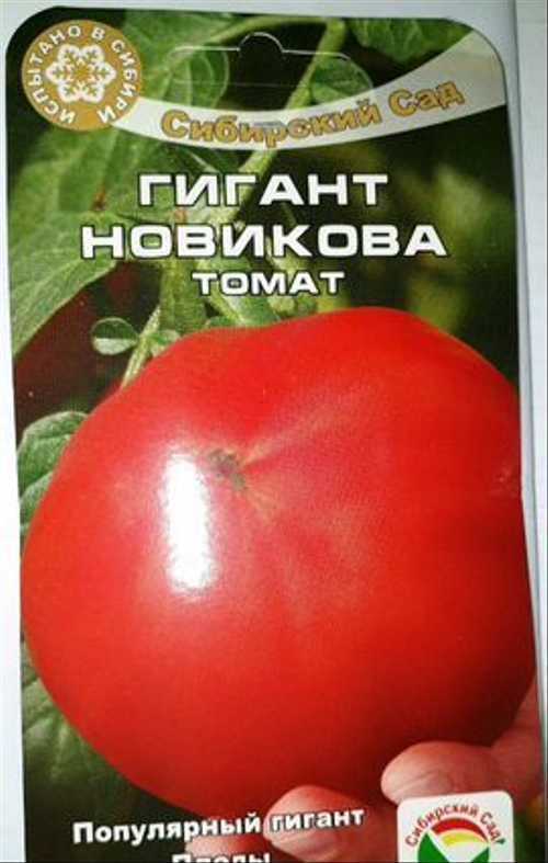 Томат гигант новикова: описание сорта, отзывы, урожайность, фото