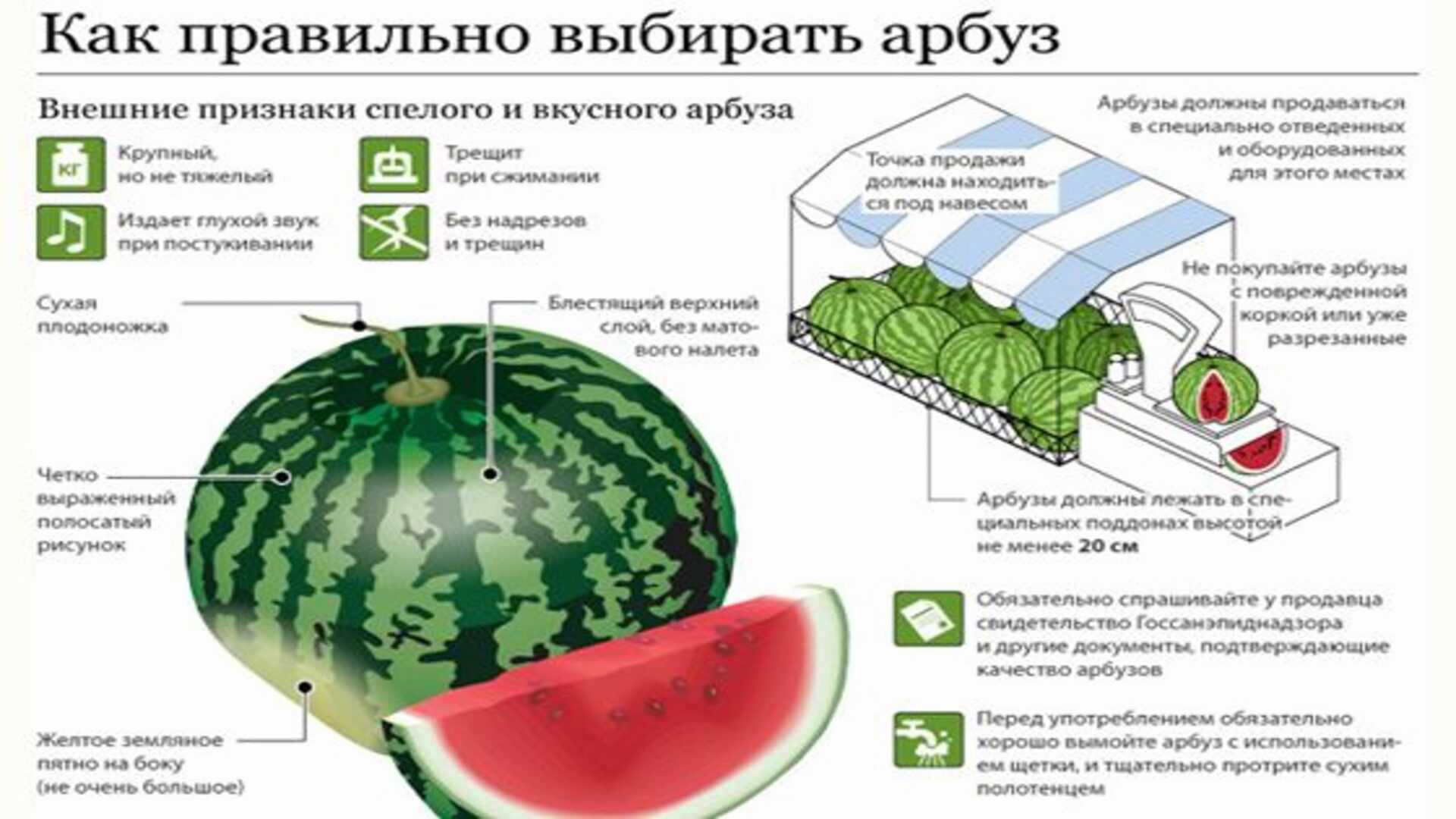 Как выбрать арбуз по внешнему виду. Как выбрать Арбуз. Как выбрать спелый Арбуз. Как правильно выбрать Арбуз. Как выбрать Арбуз сладкий и вкусный.