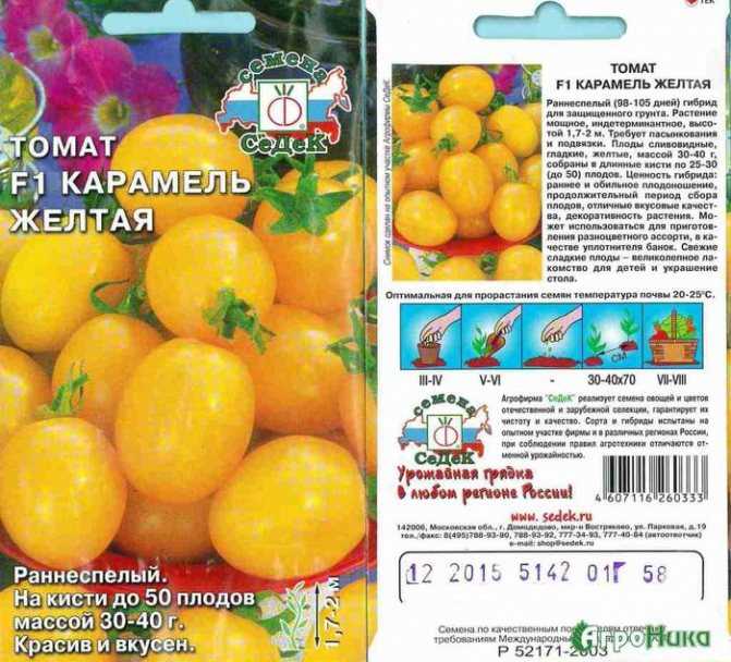 Лучшие сорта или виды помидоров на любой вкус и цвет