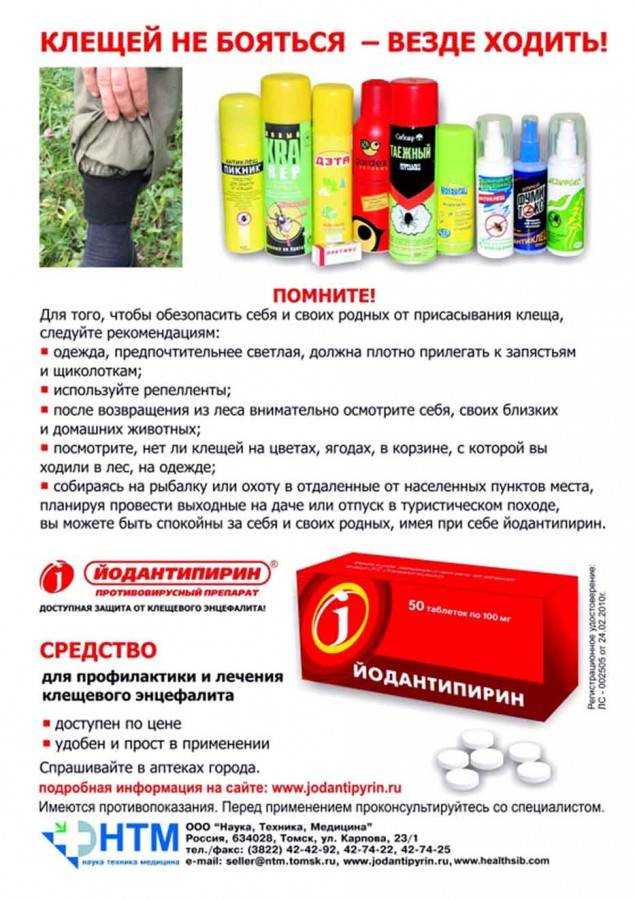 Как вывести паутинного клеща с комнатных цветов народными средствами