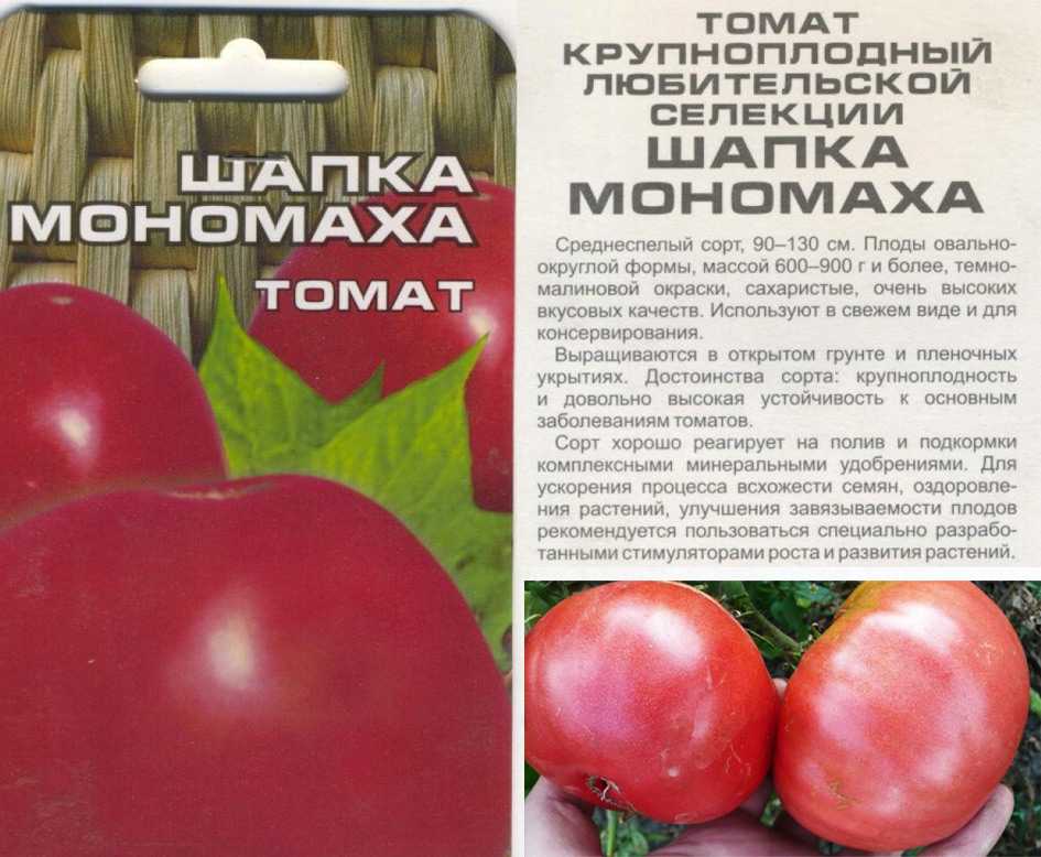 Сорт томатов Шапка Мономаха, внешний вид, описание и характеристики плодов Урожайность и особенности созревания, достоинства и недостатки этих помидор Борьба с вредителями и болезнями