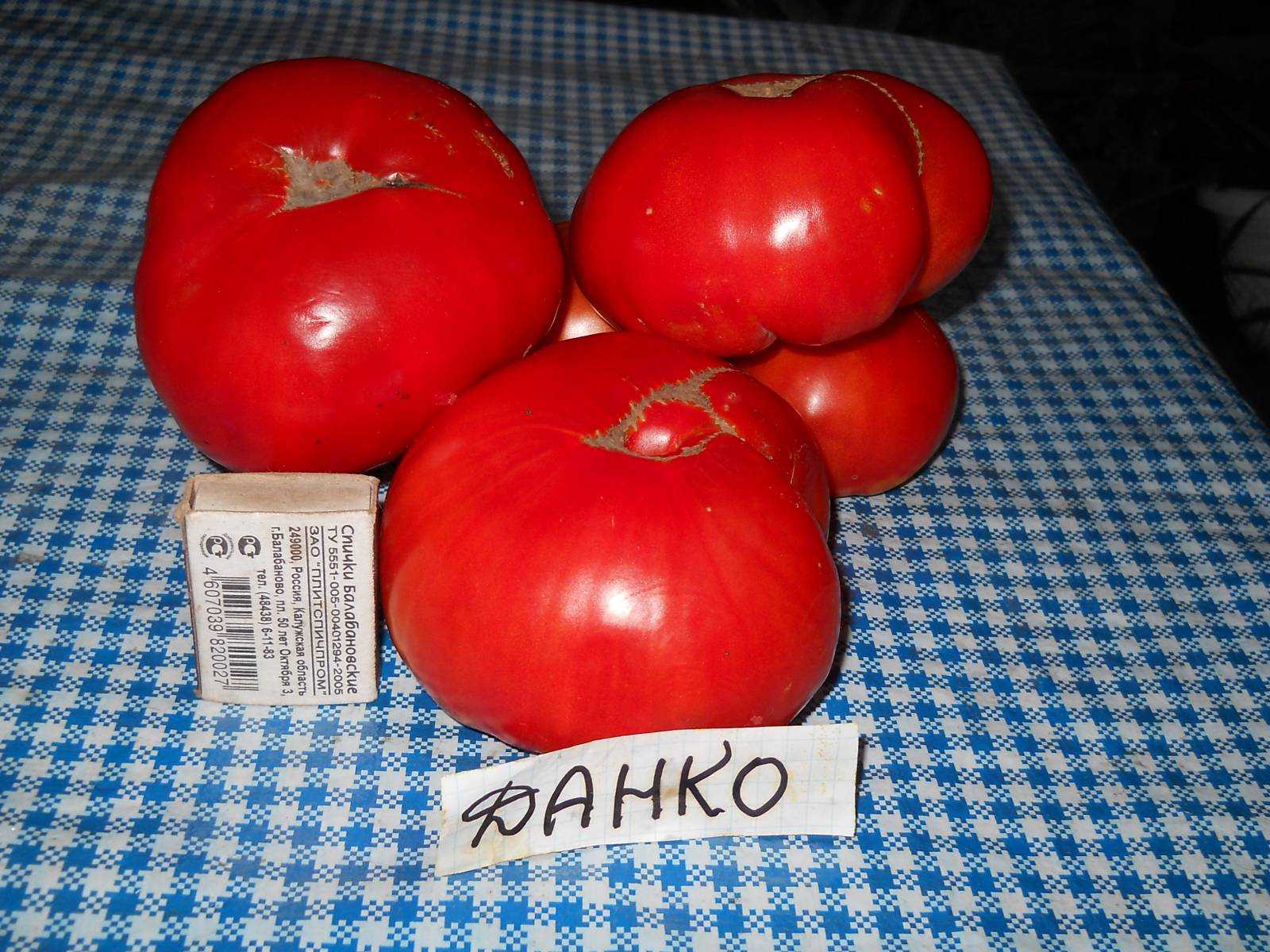 Томат данко: характеристика и описание сорта, фото, отзывы, урожайность
