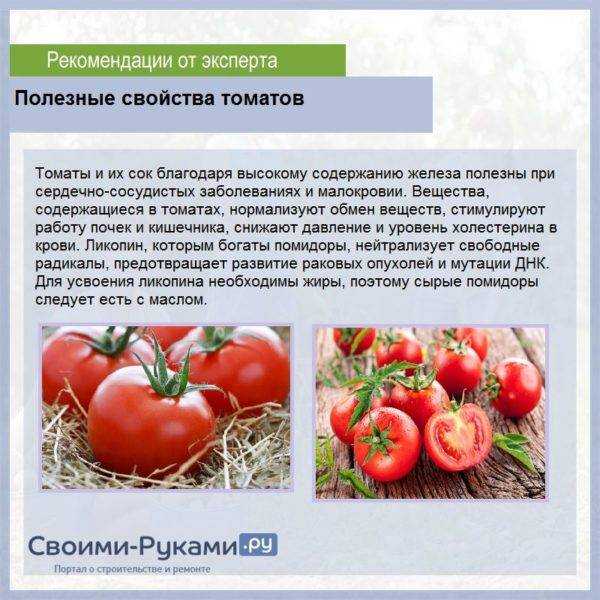 Особенности выращивания крупных ранних помидоров лабрадор