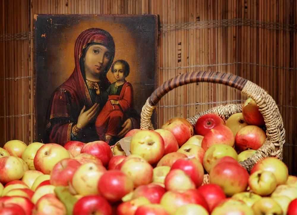 Полезные свойства сушеных яблок и как приготовить в домашних условиях