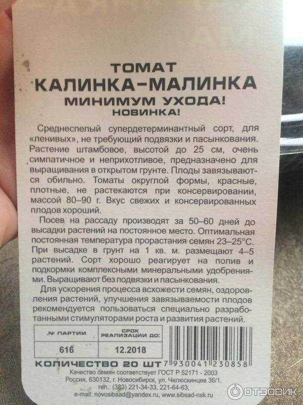 Калинка-малинка: миниатюрный томат для участка, теплицы или подоконника. описание, агротехника, отзывы
