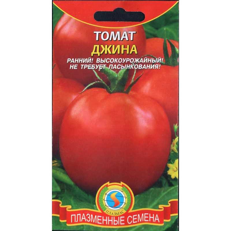 Томат джина: характеристика и описание сорта, отзывы тех кто сажал и выращивал помидоры об их урожайности, фото куста в высоту, как пасынковать в теплице и в открытом грунте