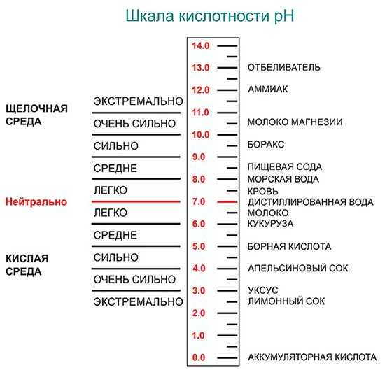 ✅ о почве для помидор: кислая или щелочная, какой грунт любит рассада томатов