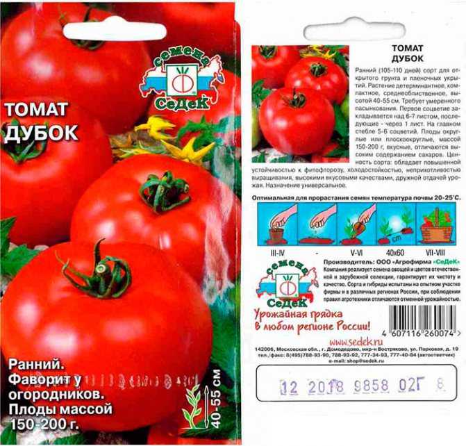 Томат «дубок» - красивый и вкусный сорт для огорода и домашнего выращивания