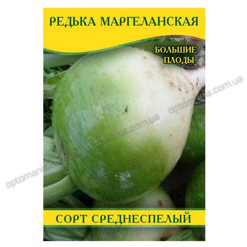Как вырастить хорошую маргеланскую редьку | овощ редька - рецепты, свойства и многое другое.