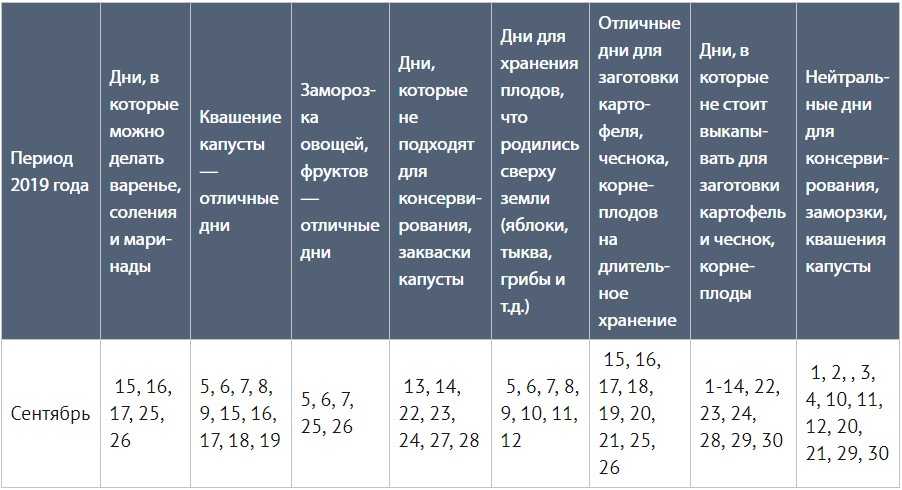 Сбор урожая капусты: сроки, когда собирать, хранение