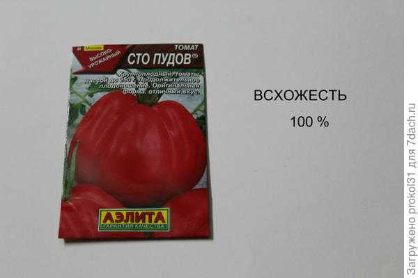 Томат сто пудов: описание сорта, фото, отзывы об урожайности