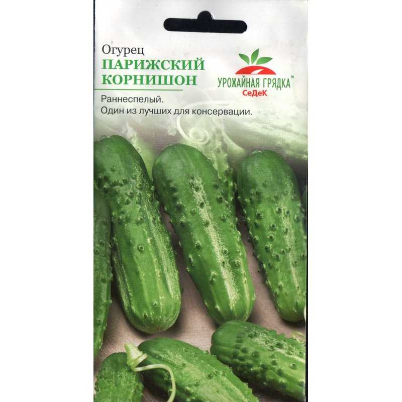 Огурцы с кетчупом чили на зиму: 10 самых вкусных рецептов без стерилизации и с ней. маринованные в кетчупе с чесноком огурцы