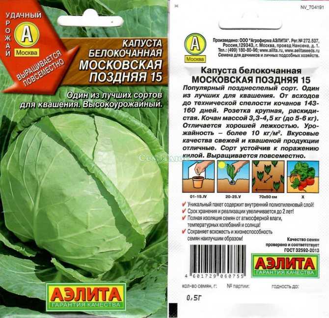 Лучшие сорта капусты с названиями описанием и их характеристикой