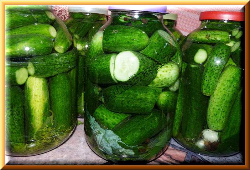 Маринованные хрустящие огурцы: 14 самых вкусных рецептов на зиму