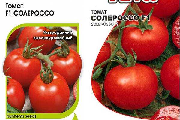 Описание сорта помидоров солеросо
