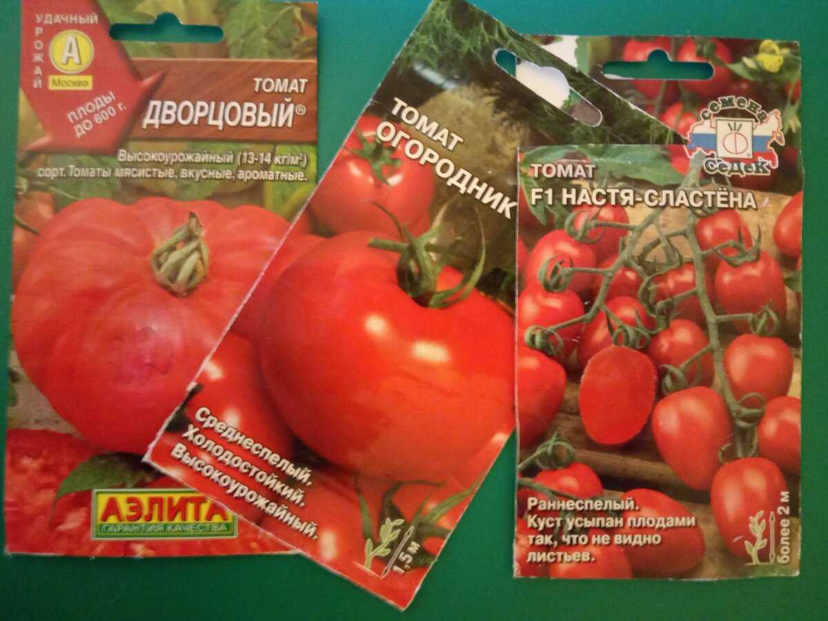 СЕДЕК томат мечта огородника