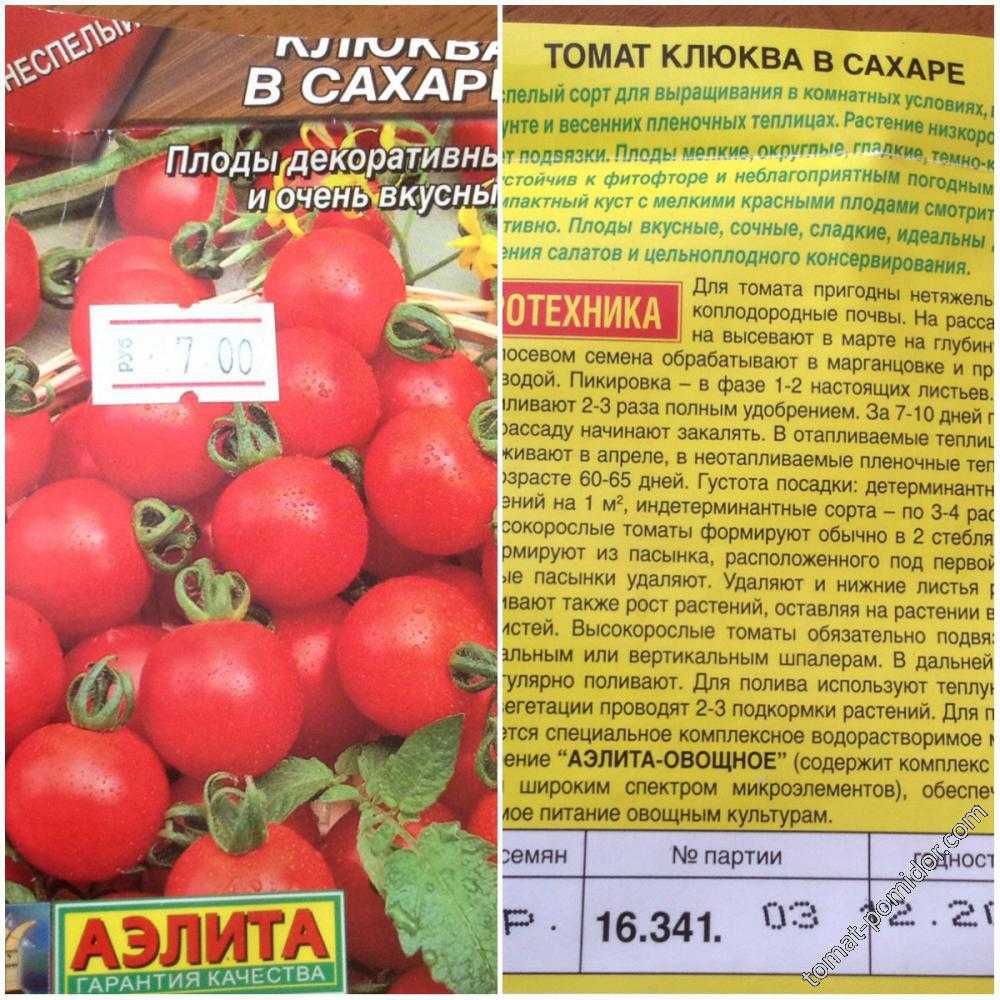 Томат сахар коричневый описание сорта фото отзывы