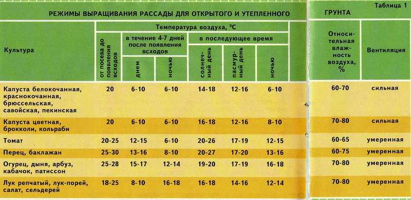 Температура для рассады томатов: оптимальные для выращивания