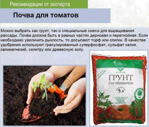 Как приготовить грунт для рассады?