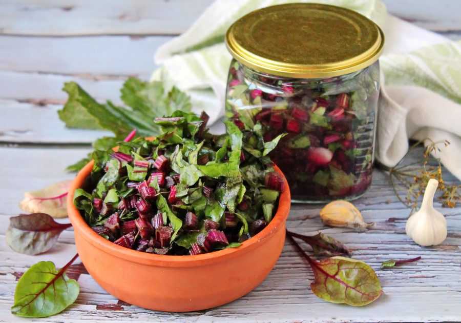 Свекла на зиму: 17 рецептов - очень вкусно и полезно