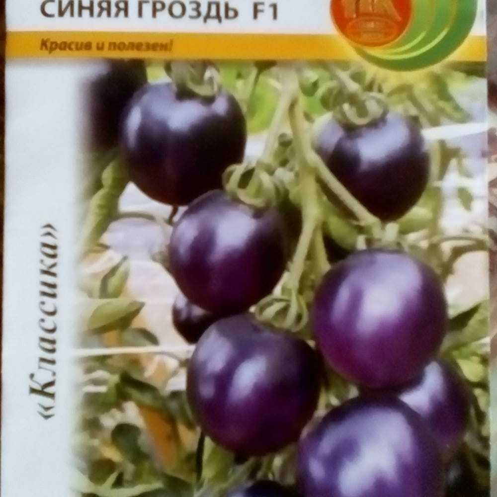 Описание сортов черных томатов: 20 лучших